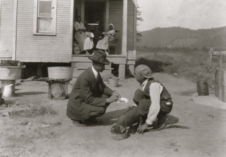 George Cox, 13 year old colored boy, has just joined the 4 H Club and is raising a pig.  1921