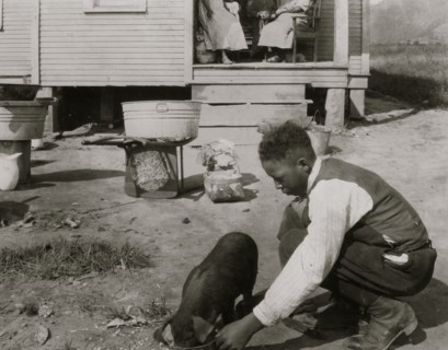 George Cox, 13 year old colored boy, has just joined the 4 H Club and is raising a pig.  1921