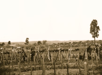 Gettysburg Fortifications 1865