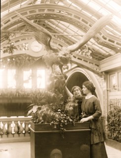 Helen Keller 1913