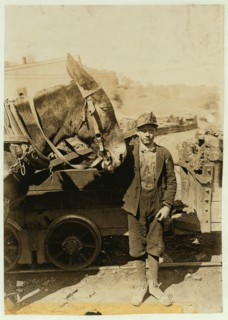 Harry and Sallie. Driver in Maryland Coal Co. Mine, near Sand Lick, Grafton, W. Va.  1908