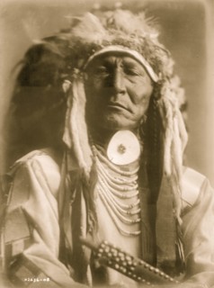 Bear Cut Ear 1910