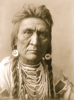 Wolf 1912