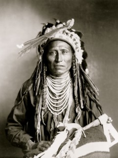 Heebe-tee-tse, Shoshone Indian 1899