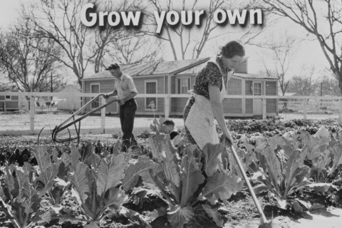 Homegrown food is homegrown wealth.  1936