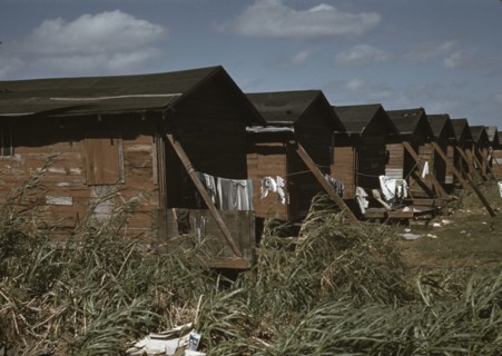 Condemned Black Migratory Worker Homes 1941