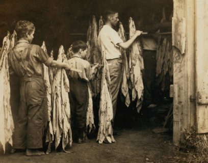 Housing tobacco in barn of W.L. Fugate. Will go to Schoolsville School but it has not opened on account of repairs.  1916