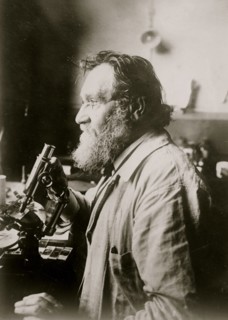 Ilya Metchinkoff nown