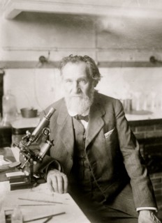Ilya Metchinkoff nown