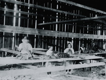 Interior of tobacco shed, Hawthorn Farm.  1909