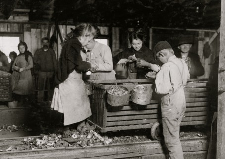 Little Nettie  a regular oyster-shucker in Alabama Canning Co.  1911
