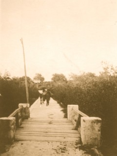 Main road, New Bight, Cat Island 1935