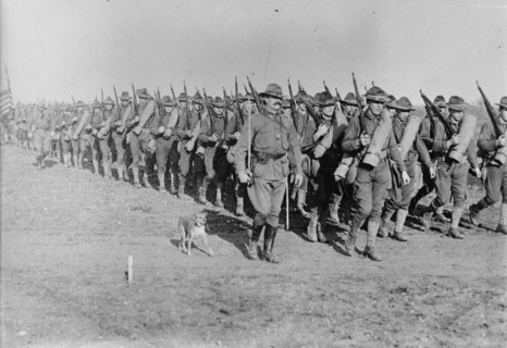 Marching US Infantry in Texas as a mascot dog is near the head of the column