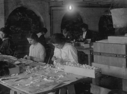 Curling petals & Making carnations. at the Boston Floral Supply Co., 1917