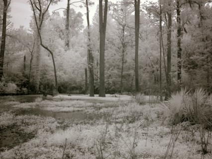 Meadowbank Farm 2010