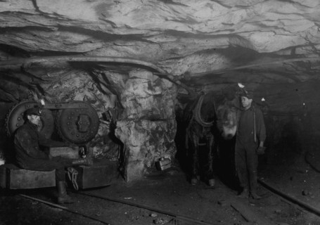 Mule power and motor power. A Young Driver, Shaft #6, Pennsylvania Coal Company.  1908