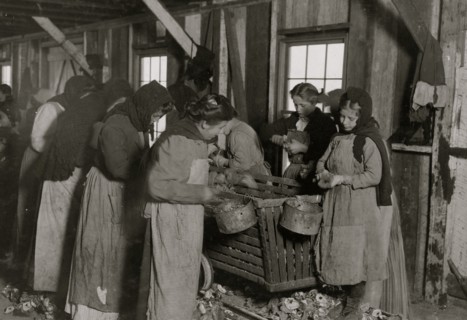 8 year old shucks 6 or 7 pots of oysters a day  at a canning company.  1911