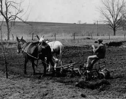 One of the boys disking the ground on the farm. Pauls Valley Training School 1917