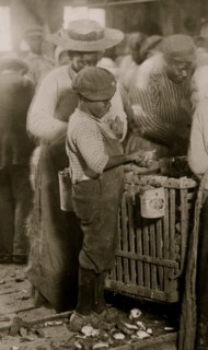 One of the smallest Black oyster shuckers  on the Atlantic Coast. 1908