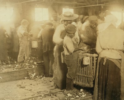 African American Boy works as an Oyster Shucker 1913