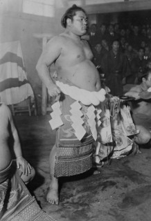 Sumo