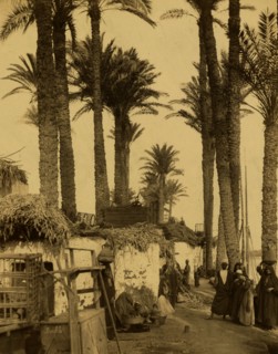Palm trees, thatched roof huts, and villagers along the banks of the Nile River, Egypt. 1880