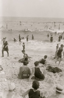 Picnic in Long Beach