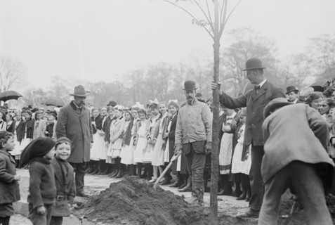 Arbor Day New York School