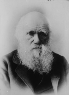 Portrait of Charles Darwin