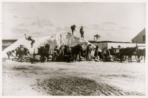 Salt mining, Turks and Caicos Islands, Jamaica 1910