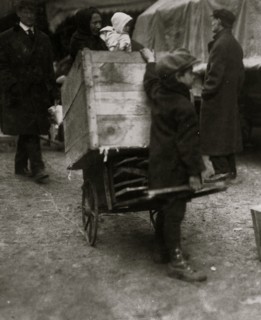 Savaging Firewood 1917