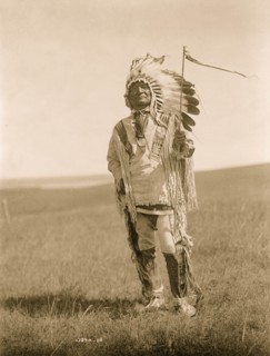 Sitting Bear 1908