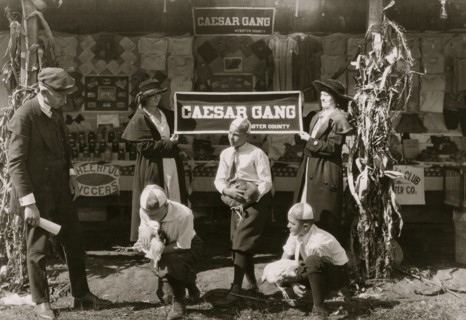 Some of the "Caesar Gang" boys demonstrating how to cull chickens to improve quality and quantity of product. Under direction of J. A. Wolfram County Agent, Webster Co. W. Va. State 4 H Fair, Charlest...