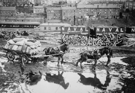 South Wales sees Coal Strike - Wagon of food are called upon to feed pit ponies 1911