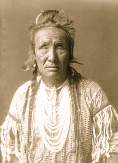 The Grizzly Bear 1910
