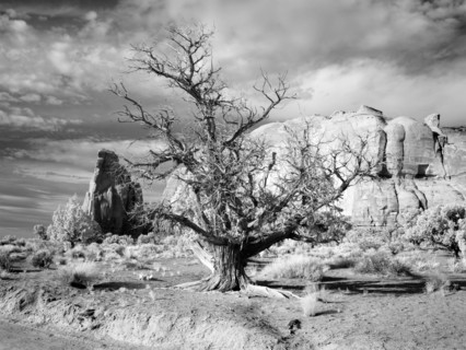 Monument Valley, Arizona 2007