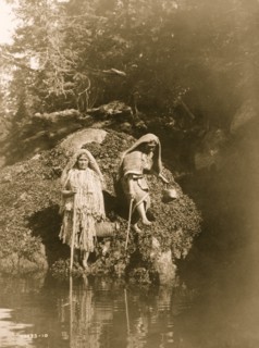 Gathering seaweed--Clayoquot 1910