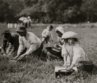 Two little Portuguese pickers. 1911