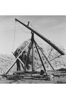 Hay Derrick 1939