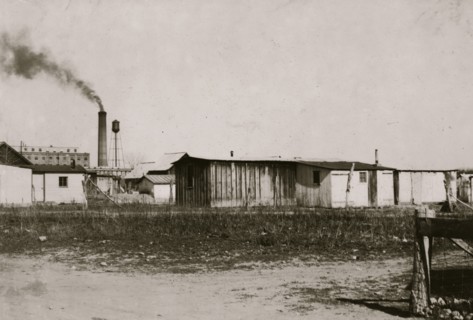 Views of "The Jungle," in Ft. Collins, the section in which the beet workers live when not away working the beets. In Greeley, this segregated section is called "The Pansy Bed" (from the varied and vi...