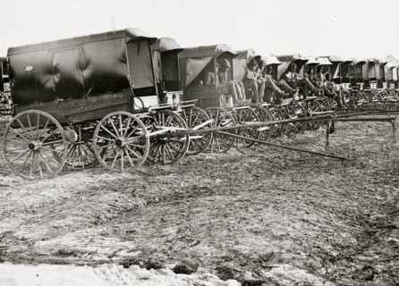 Virginia, City Point. Park of Army Wagons 1863