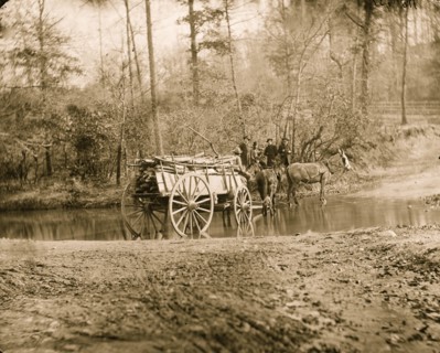 Virginia. Mule team crossing a brook