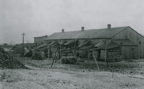 About 50 persons housed in this miserable row of dilapidated shacks located on an old shell-pile and partly surrounded by a tidal marsh.  1912