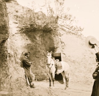 Yorktown, Virginia. Captain Perkin's "Sesesh" horse captured at Cornwallis cave 1863