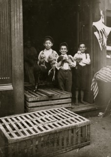 Young Jewish Chicken Vendors,  1908