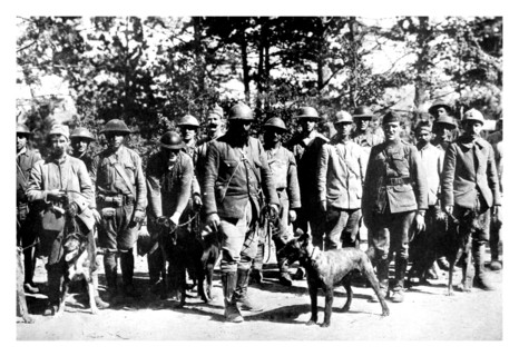 Dogs of War