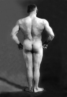 Bodybuilder's Back