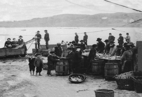 Donegal Fish, Ireland