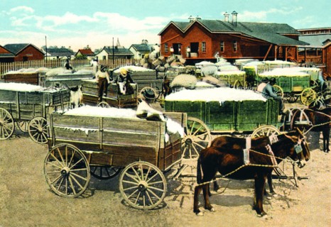 Cotton Wagons 1918