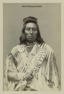 Wolf, Palouse Chief